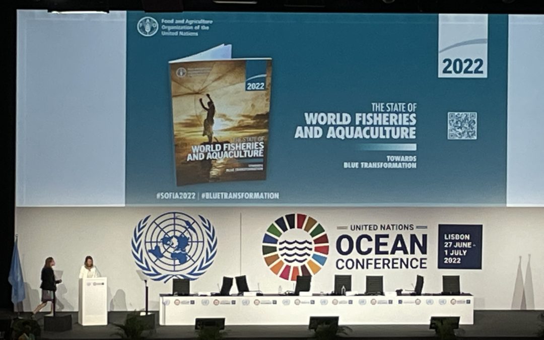 Rapport FAO 2022 sur la situation mondiale des pêches